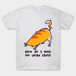 How do I look on yoga class funny yoga and cat drawing T-Shirt